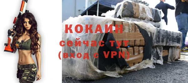 стафф Россошь